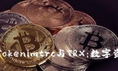 深入解析Tokenimtrc与TRX：数