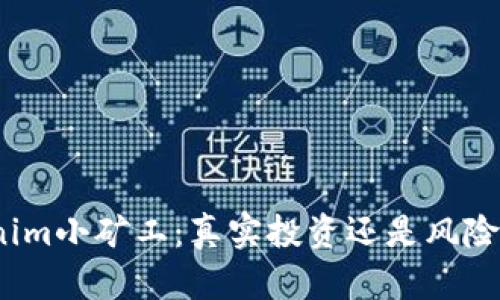 Tokenim小矿工：真实投资还是风险陷阱？