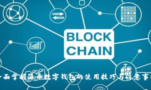 全面掌握派币数字钱包的使用技巧与注意事项