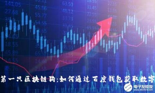 领养你的第一只区块链狗：如何通过百度钱包获取数字宠物乐趣