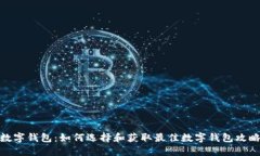 数字钱包：如何选择和获