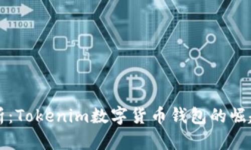 深度剖析：Tokenim数字货币钱包的崛起与未来