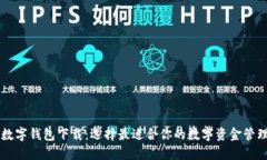 主流数字钱包下载：选择