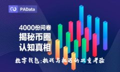 数字钱包：挑战与机遇的