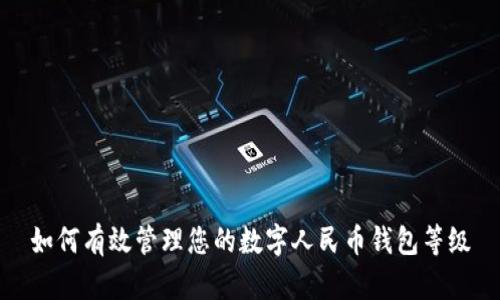 如何有效管理您的数字人民币钱包等级