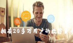 数字钱包的未来：拥有2