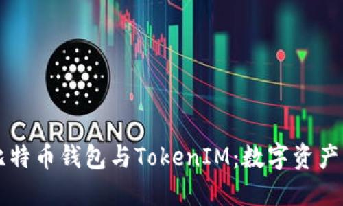 深入探讨比特币钱包与TokenIM：数字资产管理的未来