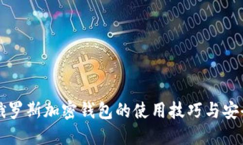 揭秘俄罗斯加密钱包的使用技巧与安全实践