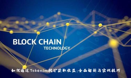 如何通过Tokenim挖矿获取收益：全面解析与实战技巧
