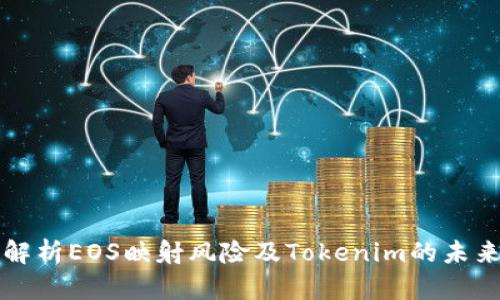 深入解析EOS映射风险及Tokenim的未来发展