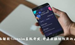 全面解析Tokenim系统开发：