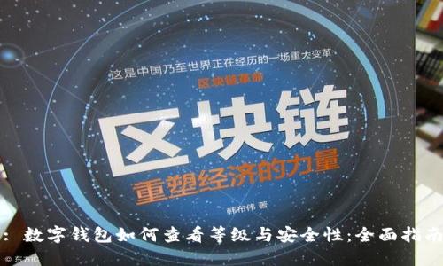 : 数字钱包如何查看等级与安全性：全面指南