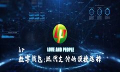 br数字钱包：现代支付的便