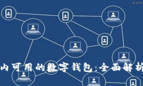 探索中国境内可用的数字钱包：全面解析与深入分析