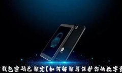 数字钱包密码已锁定？如何解锁与保护你的数字