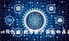 导入Tokenim钱包后，数字资产消失的原因及解决方