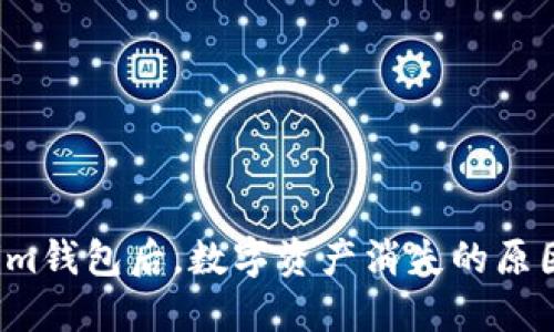  导入Tokenim钱包后，数字资产消失的原因及解决方案