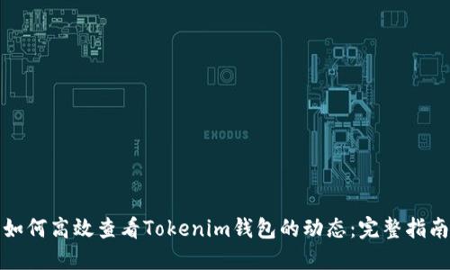 如何高效查看Tokenim钱包的动态：完整指南