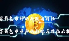 数字钱包币种的外观与特征数字钱包中币种的外