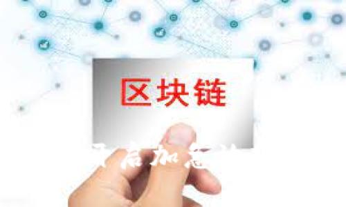 数字钱包：开启加急放款的新纪元