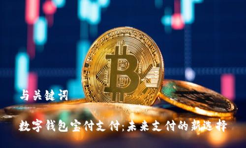 与关键词

数字钱包宝付支付：未来支付的新选择