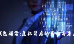 数字钱包爆雷：危机背后的真相与未来趋势