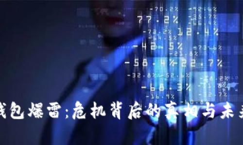 数字钱包爆雷：危机背后的真相与未来趋势