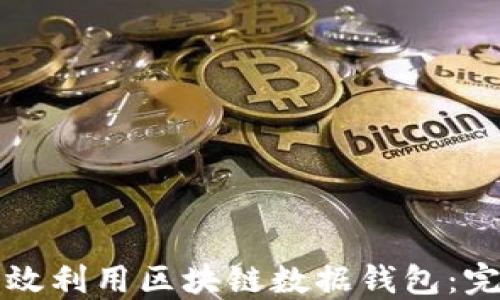 
如何高效利用区块链数据钱包：完全指南