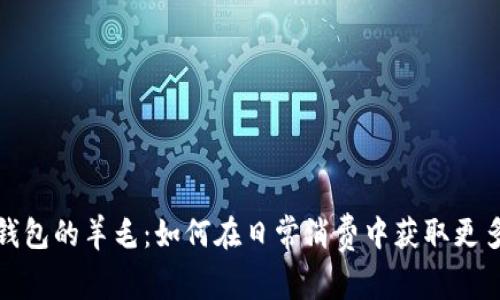 数字钱包的羊毛：如何在日常消费中获取更多利益