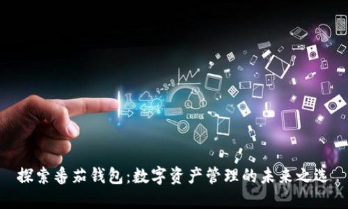 探索番茄钱包：数字资产管理的未来之选