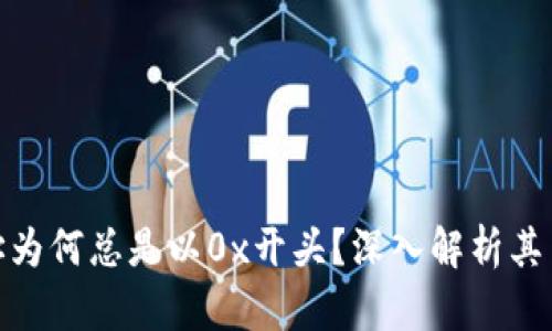 : 区块链钱包地址为何总是以0x开头？深入解析其背后的意义与机制