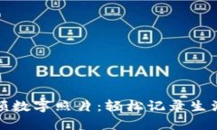 产品: 钱包金额数字照片：