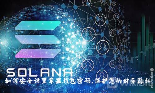 如何安全设置苹果钱包密码，保护您的财务隐私