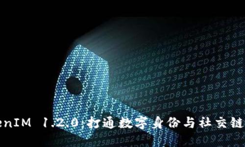解密TokenIM 1.2.0：打通数字身份与社交链的新通道
