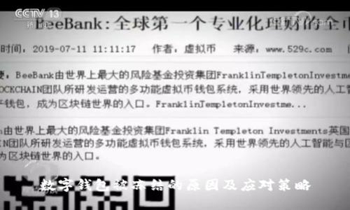 数字钱包被冻结的原因及应对策略