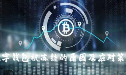 数字钱包被冻结的原因及应对策略