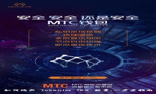如何购买 Tokenim TRX 能量：一步步指南