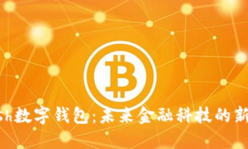 kCash数字钱包：未来金融科技的新宠儿