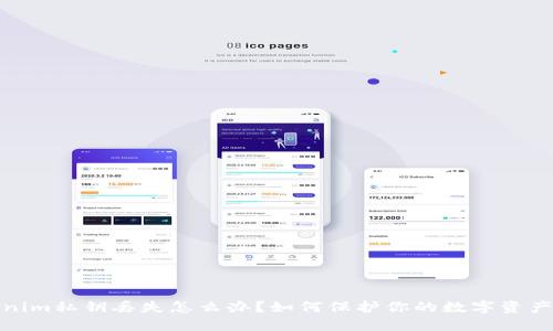 Tokenim私钥丢失怎么办？如何保护你的数字资产安全