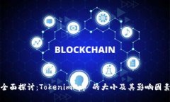 全面探讨：TokenimApp 的大小及其影响因素
