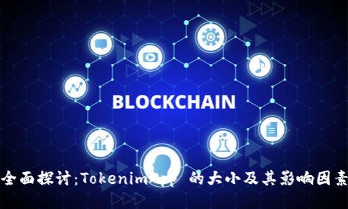 全面探讨：TokenimApp 的大小及其影响因素