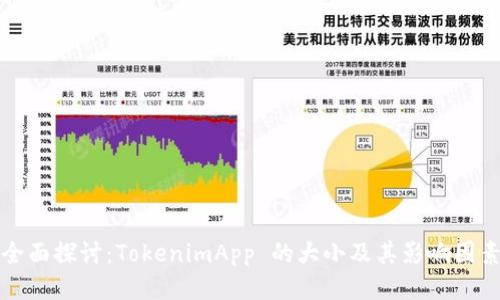 全面探讨：TokenimApp 的大小及其影响因素