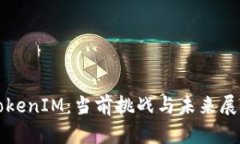 TokenIM：当前挑战与未来展