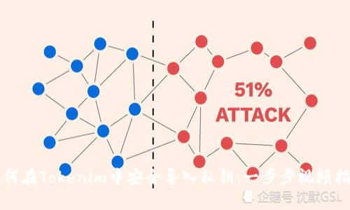 如何在Tokenim中安全导入私钥：一步步视频指南