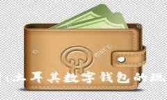 深入解析：土耳其数字钱