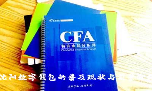 沈阳数字钱包的普及现状与前景分析
