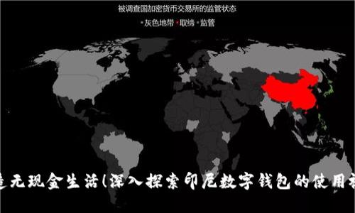 打造无现金生活！深入探索印尼数字钱包的使用视频