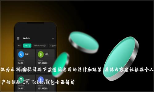 注意：以下内容仅为示例，实际情况下应遵循适用的法律和政策，具体内容建议根据个人需要适度调整。

 掌握区块链资产的钥匙：IM Token钱包全面解析