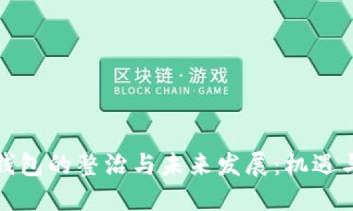 数字钱包的整治与未来发展：机遇与挑战