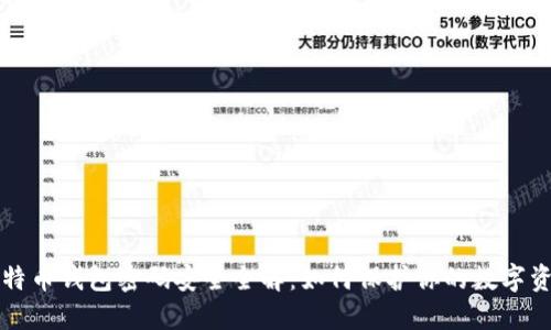 比特币钱包密码安全全解：如何保护你的数字资产